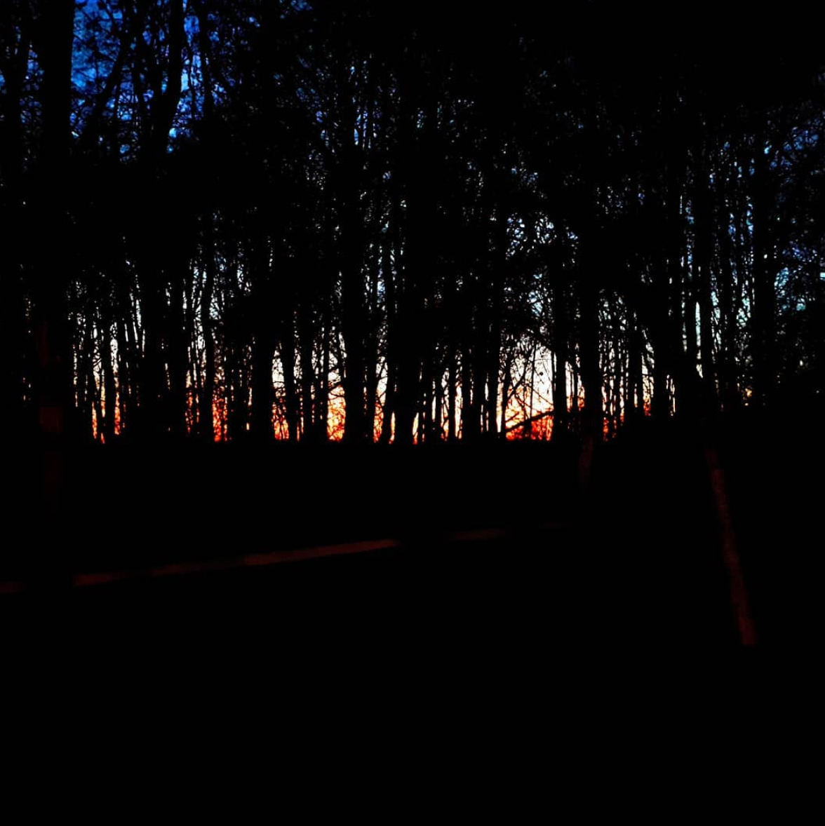 Untitled 3